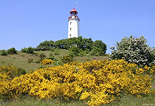 Hotel Mönchgut auf Rügen